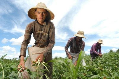 CRA-tem-na-pauta-programa-nacional-para-jovens-agricultores-—.jpeg