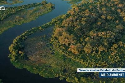 Senado-analisa-Estatuto-do-Pantanal-na-proxima-quarta-feira-—-Senado.jpeg