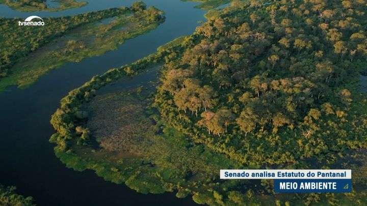 Senado analisa Estatuto do Pantanal na próxima quarta-feira — Senado Notícias